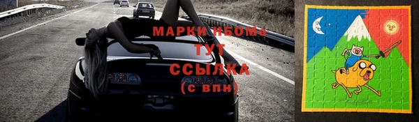 хмурый Аркадак