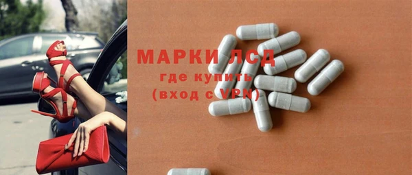 хмурый Аркадак