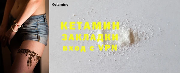 хмурый Аркадак