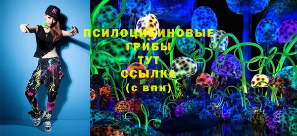 хмурый Аркадак
