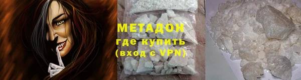 хмурый Аркадак