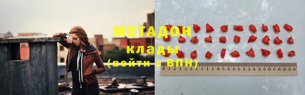 хмурый Аркадак