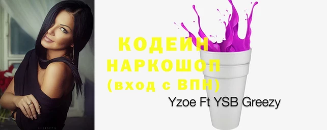 хмурый Аркадак