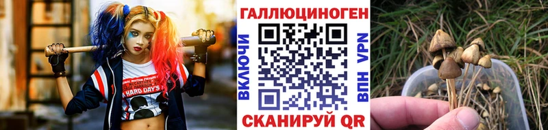 Галлюциногенные грибы MAGIC MUSHROOMS  магазин  наркотиков  Пустошка 
